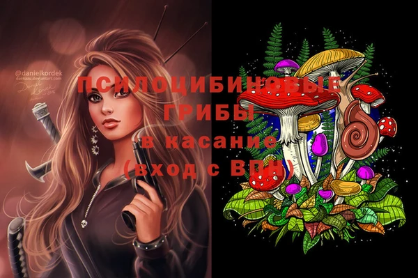 крисы Арсеньев