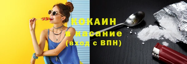 крисы Арсеньев