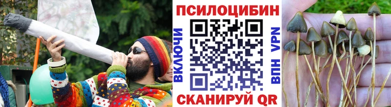 сколько стоит  Заозёрск  Галлюциногенные грибы ЛСД 